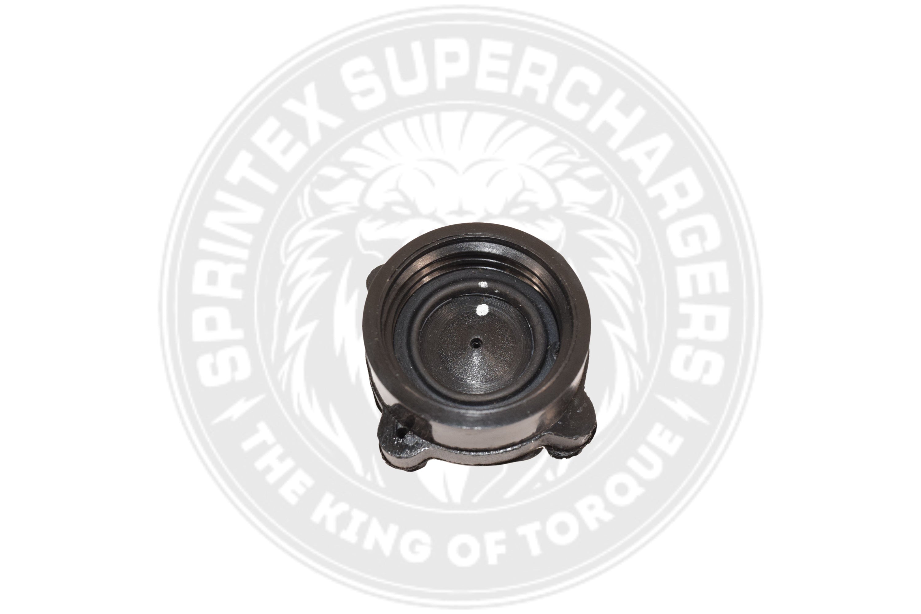 Coolant Cap 300-10922